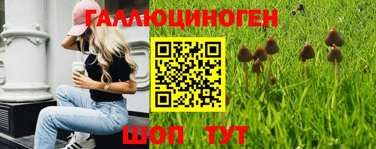 Гашиш Реутов