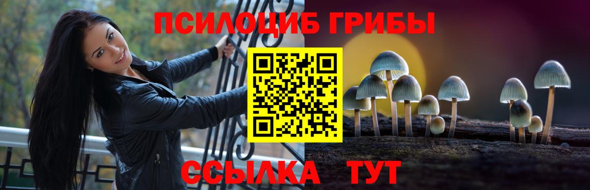 Псилоцибиновые грибы GOLDEN TEACHER Реутов